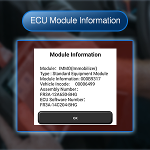 Read ECU Module Information